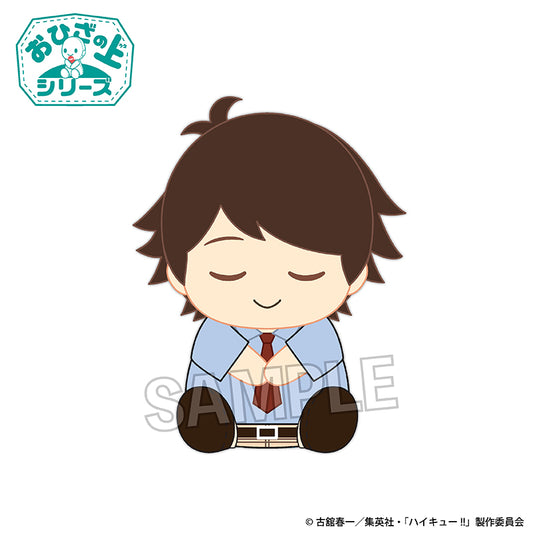 《排球少年》膝上系列 午睡版 及川徹