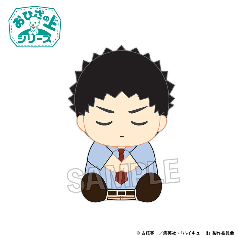 《排球少年》膝上系列 午睡版 巖泉 一