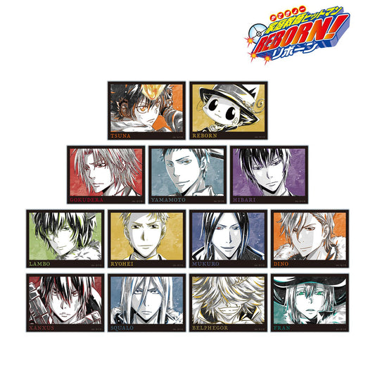 《家庭教師HITMAN REBORN!》交易 Ani-Art 黑標 亞克力卡【全套禮盒/13包裝】