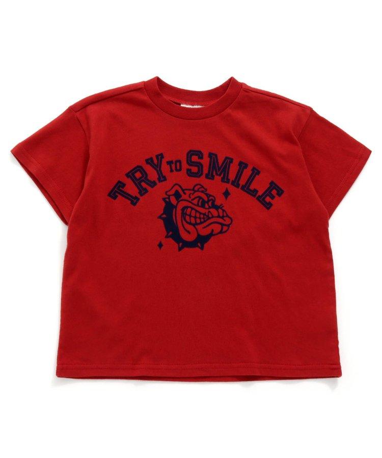 動物圖案印花T恤