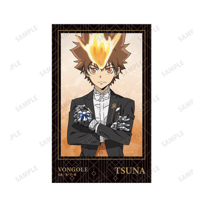 《家庭教師HITMAN REBORN!》_描き下ろし 沢田 綱吉 燕尾服版 即可拍攝相機風格插畫卡片2張組合