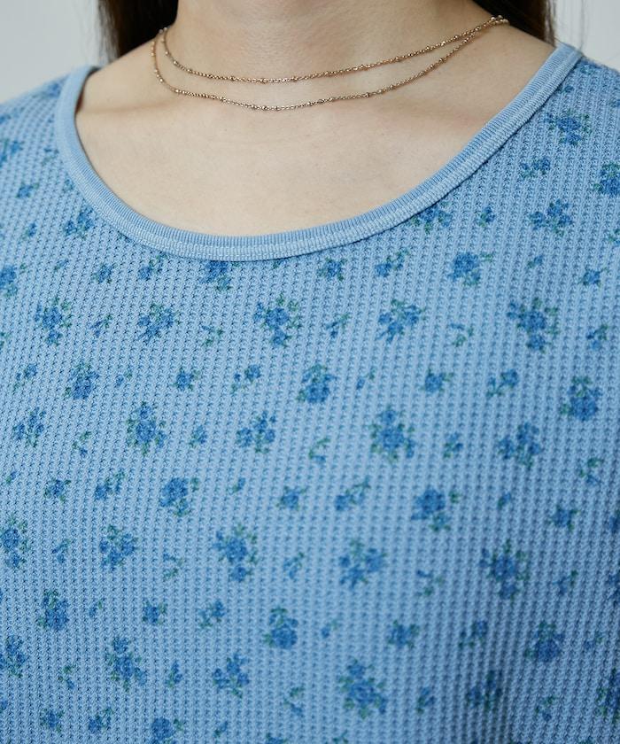 170206191