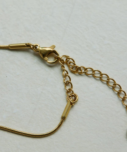 《金屬過敏適用/不鏽鋼》蛇骨鏈×硬幣項鍊