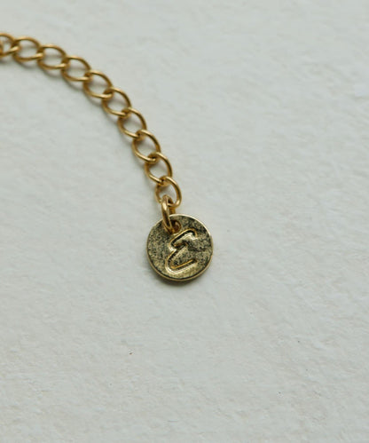 《金屬過敏適用/不鏽鋼》蛇骨鏈×硬幣項鍊