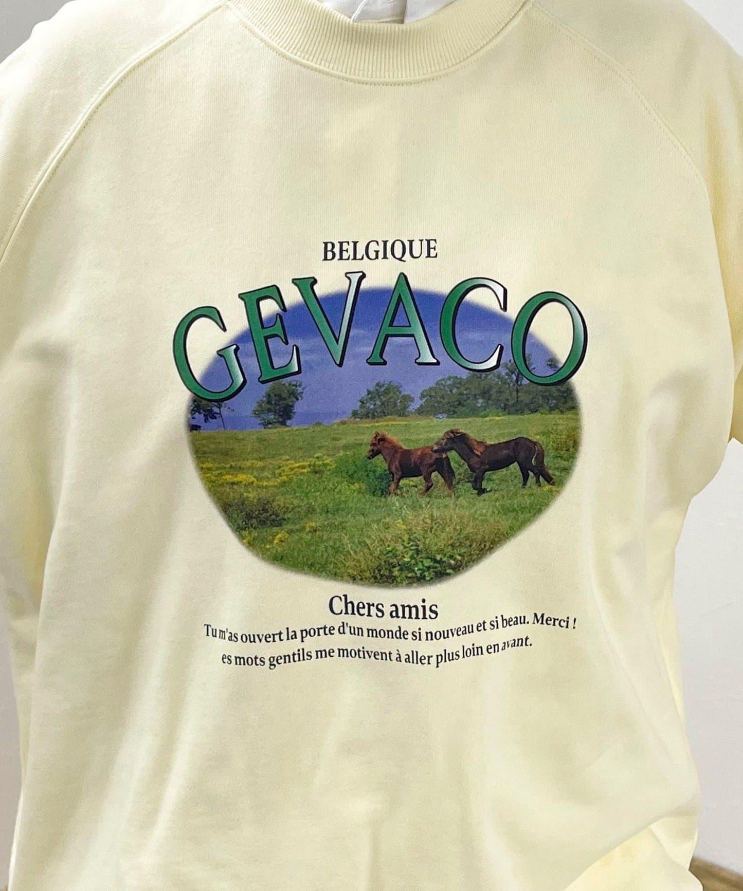 【GEVACO/ゲバコ】內毛印花衛衣套頭衫