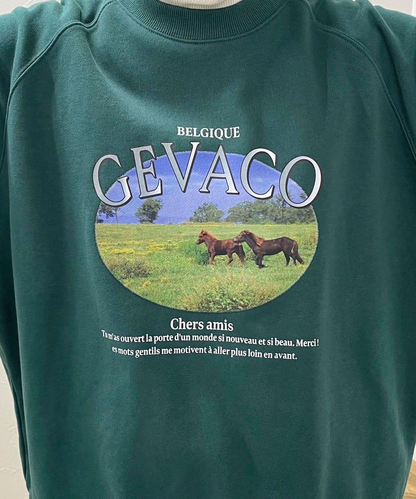 【GEVACO/ゲバコ】內毛印花衛衣套頭衫