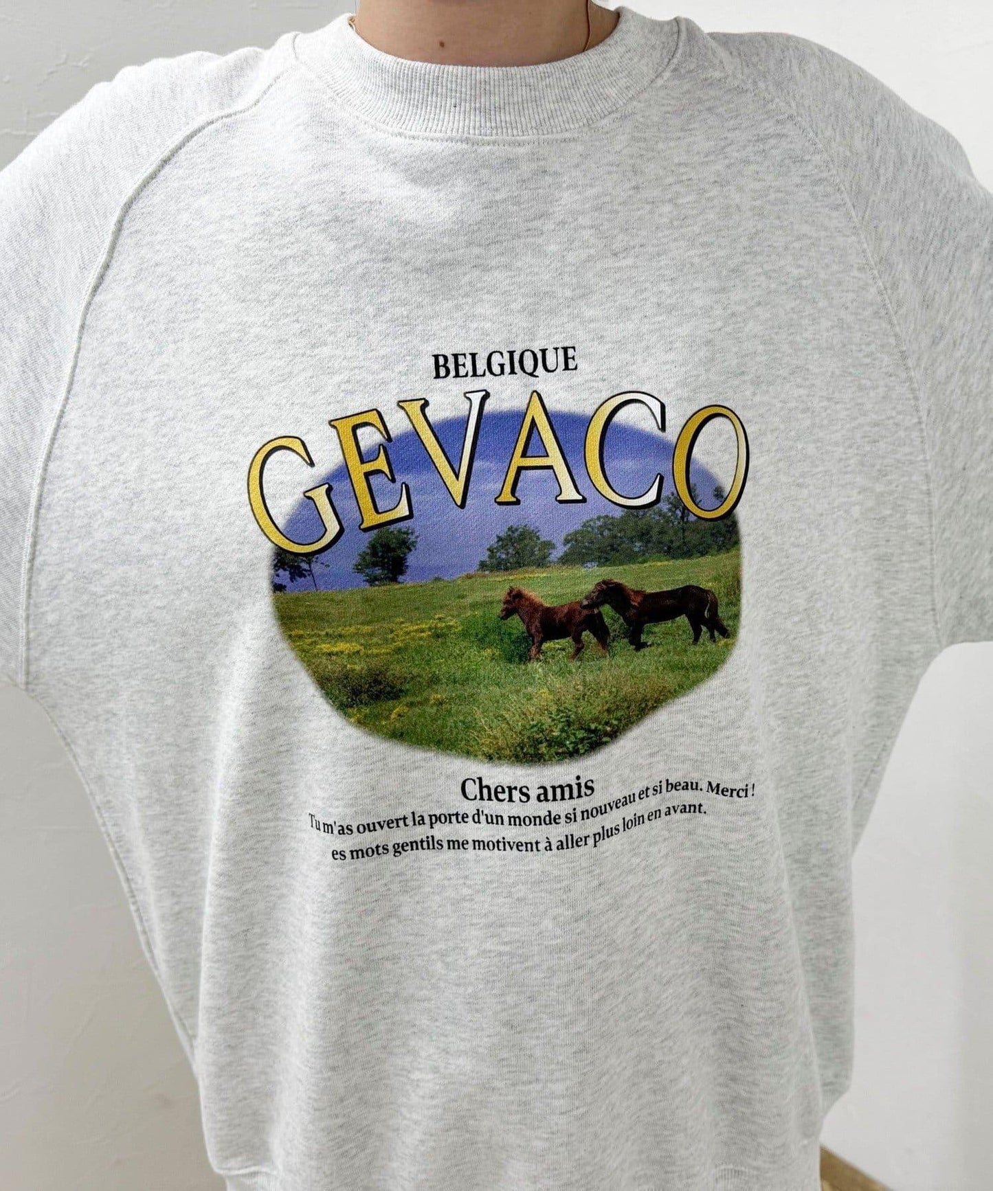 【GEVACO/ゲバコ】內毛印花衛衣套頭衫
