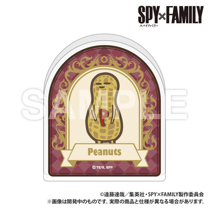 《間諜過家家》_直立亞克力展示架_《花生漫畫》