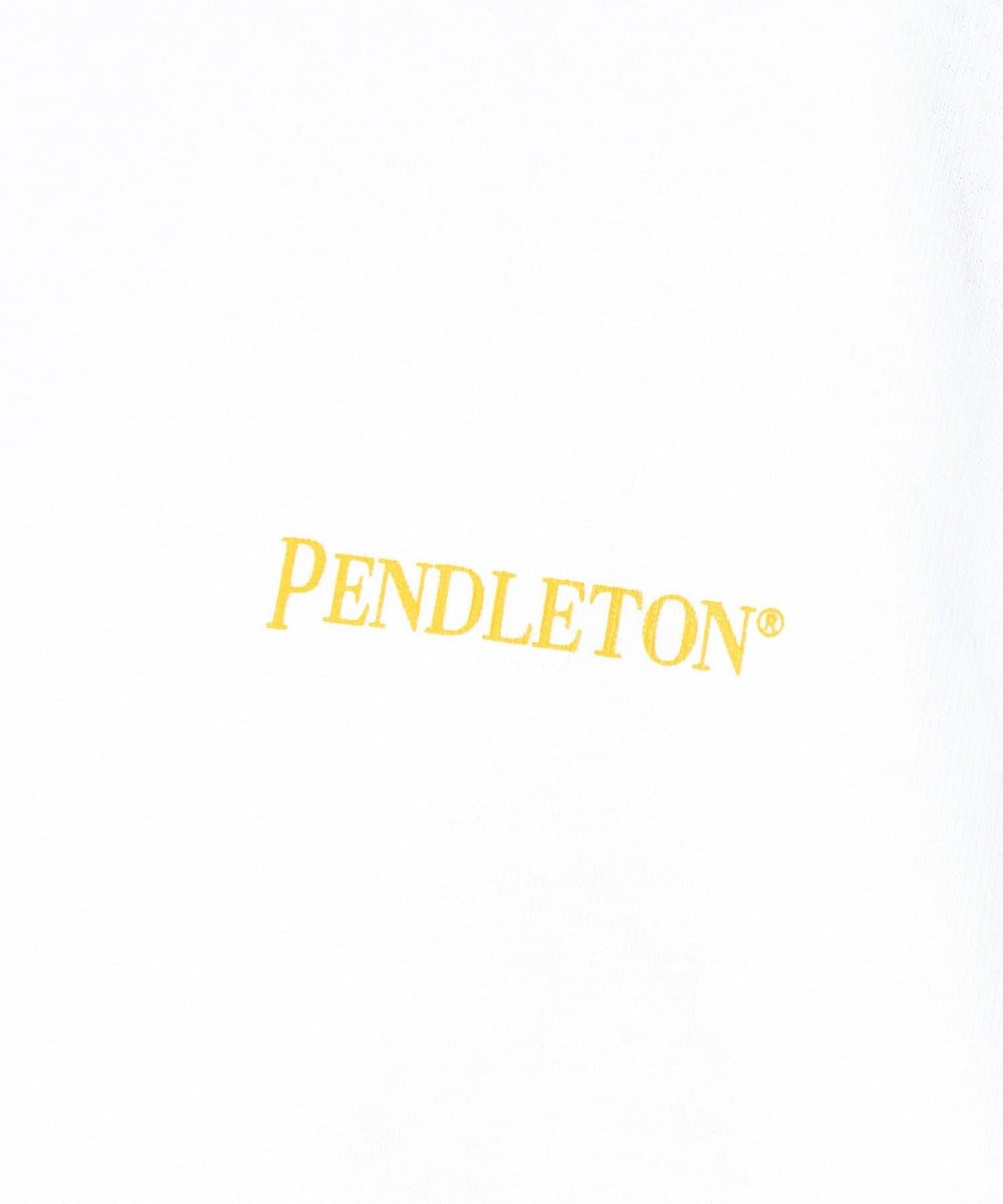 【PENDLETON/彭德爾頓】背面印花T恤 單點標誌