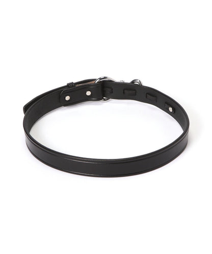 【TORY LEATHER/托里皮革】鎳制蹄鏟腰帶 1.25英寸