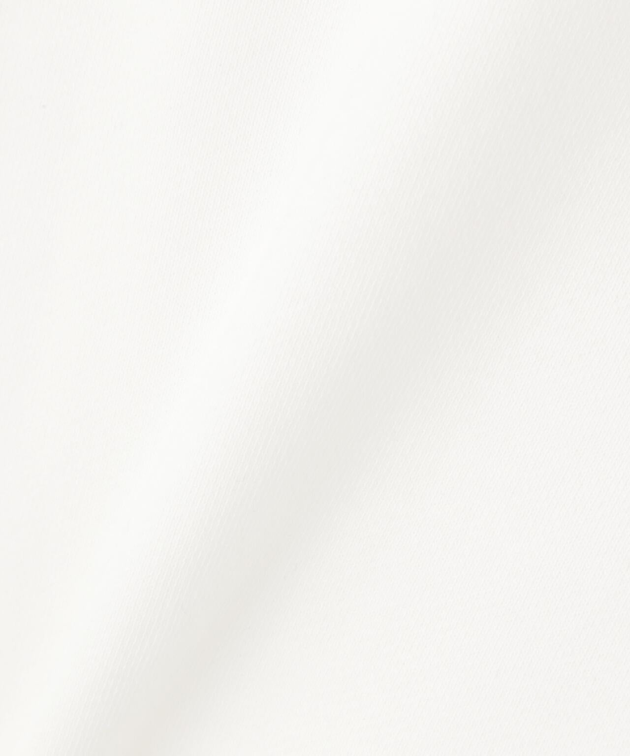 《DAILY/日常》圓領長袖衛衣 / 圓領長袖衛衣 / AVIREX / 阿維雷