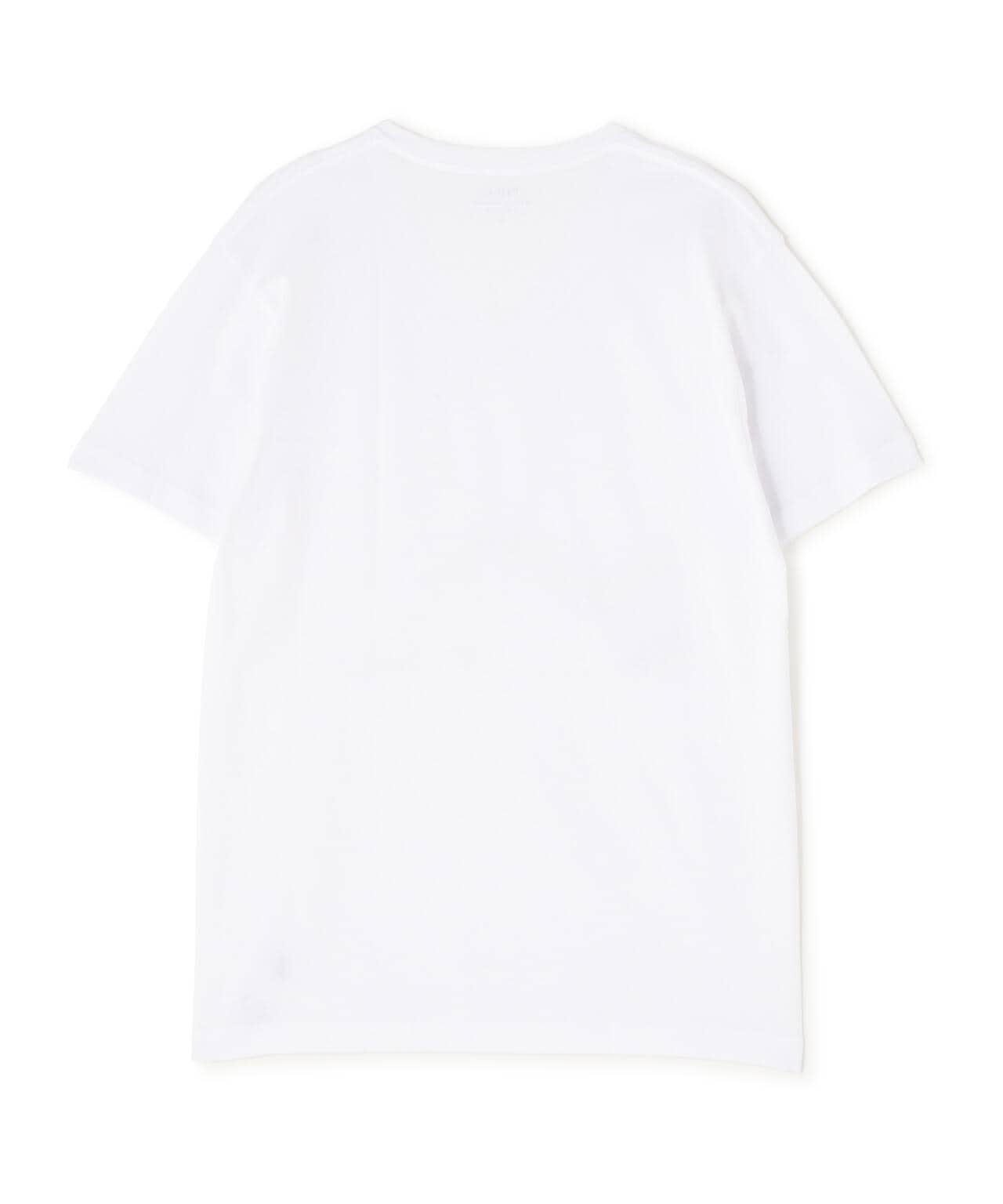 POLO RALPH LAUREN/普通拉夫勞倫/V領內衣
