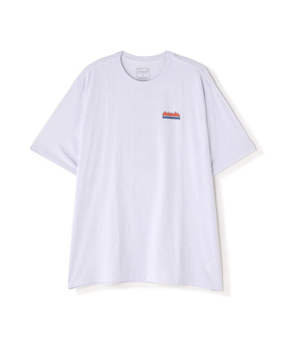 Patagonia/巴塔哥尼亞 男士 費茨羅伊 野性責任