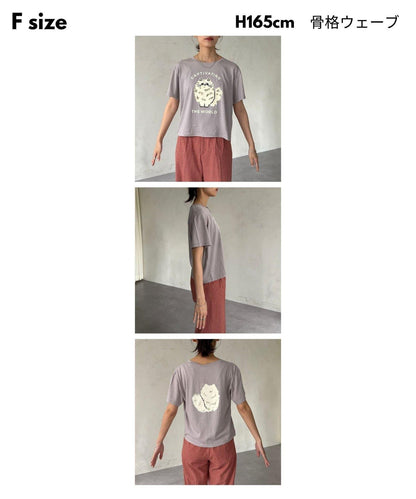 透明絨面短袖T-shirt
