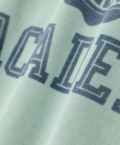 SWEAT T-SHIRT "USAFA" / 短袖運動衫 / AVIREX / 阿維雷克斯