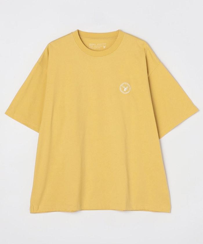 野生衝浪短袖T恤