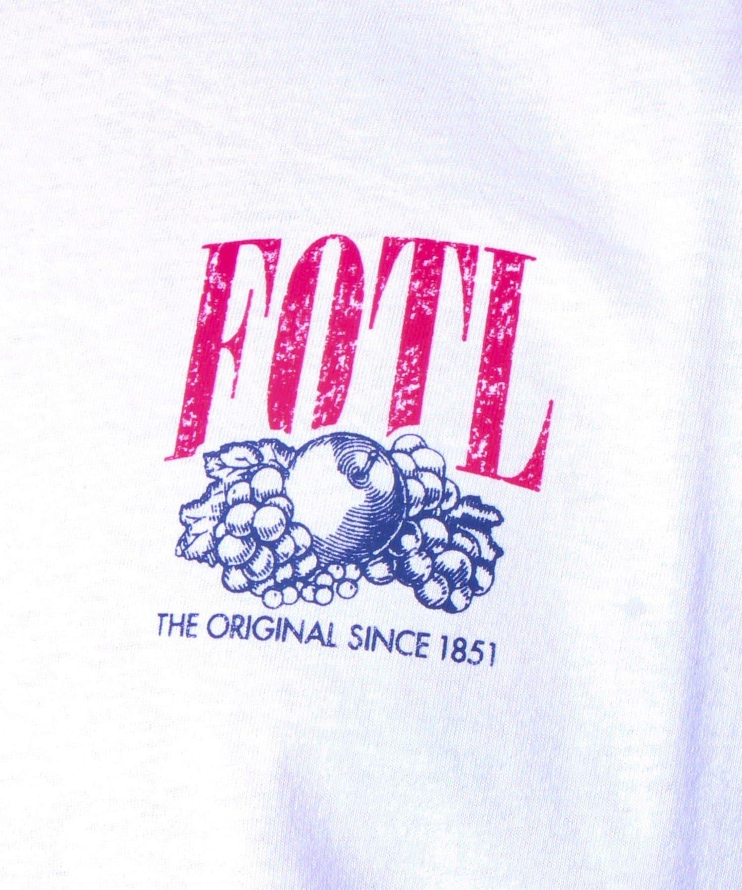 【FRUIT OF THE LOOM】印花T恤 背面印花