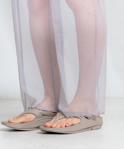 <驅蟲效果>蚊帳 透明緊身褲