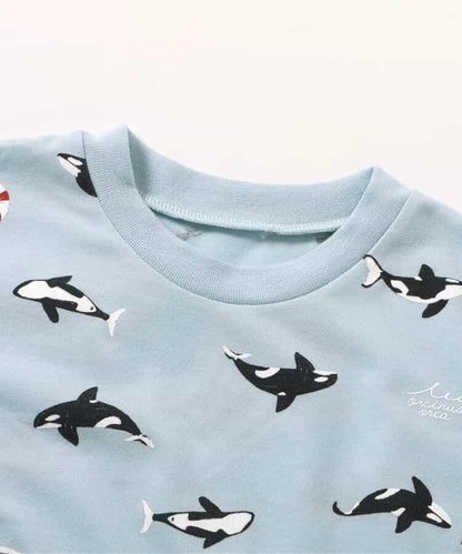 清涼恐龍·汽車圖案·虎鯨圖案睡衣 5分褲_吸水速幹_接觸冷感