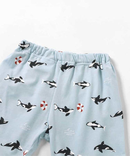 清涼恐龍·汽車圖案·虎鯨圖案睡衣 5分褲_吸水速幹_接觸冷感