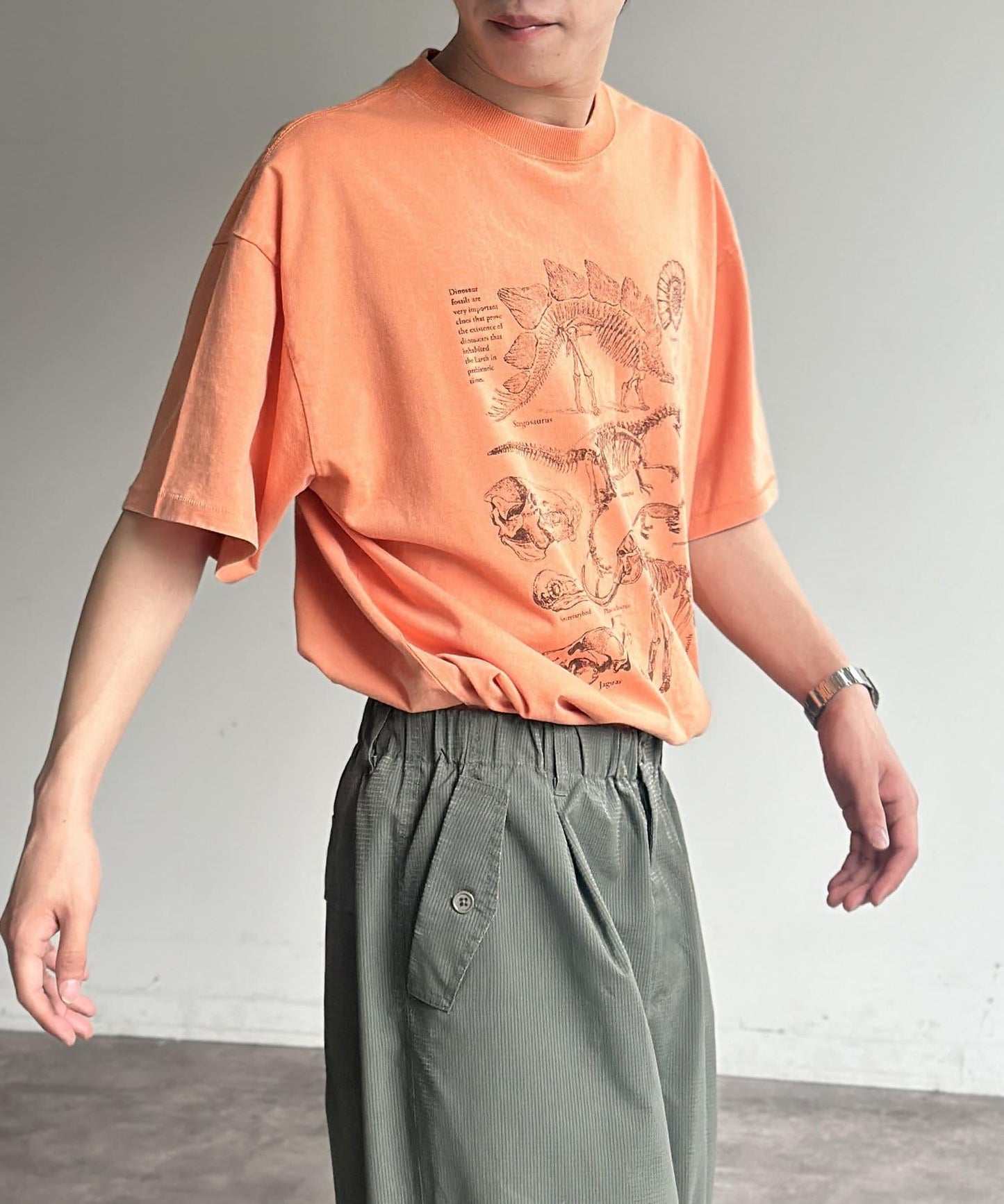 彩色粉末恐龍T-shirt
