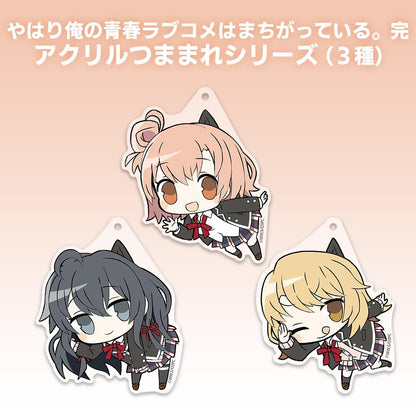 《我的青春戀愛物語果然有問題》_一色いろは 亞克力擠壓玩偶