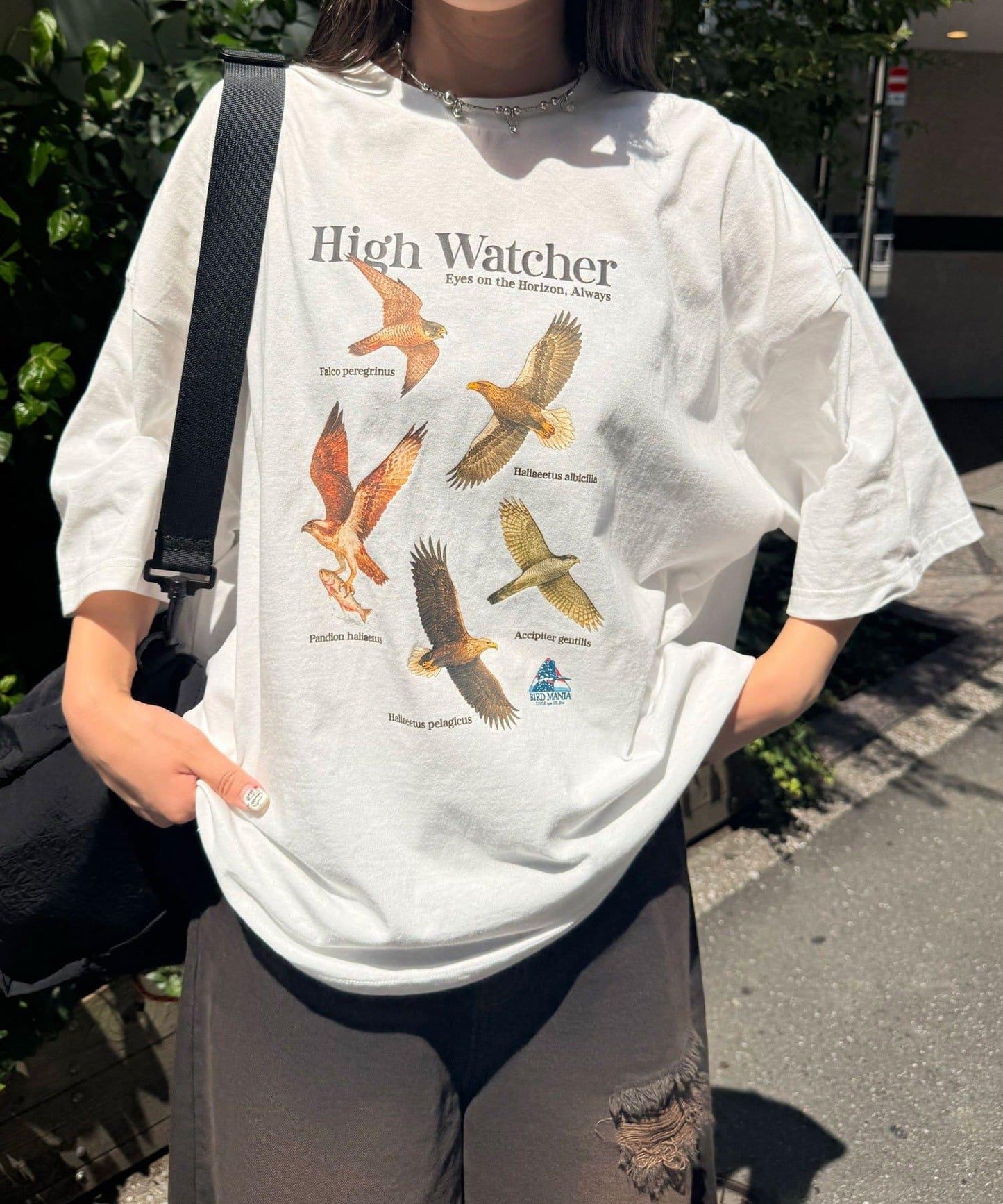 【BIRDMANIA/鳥類狂熱】野鳥收藏T恤