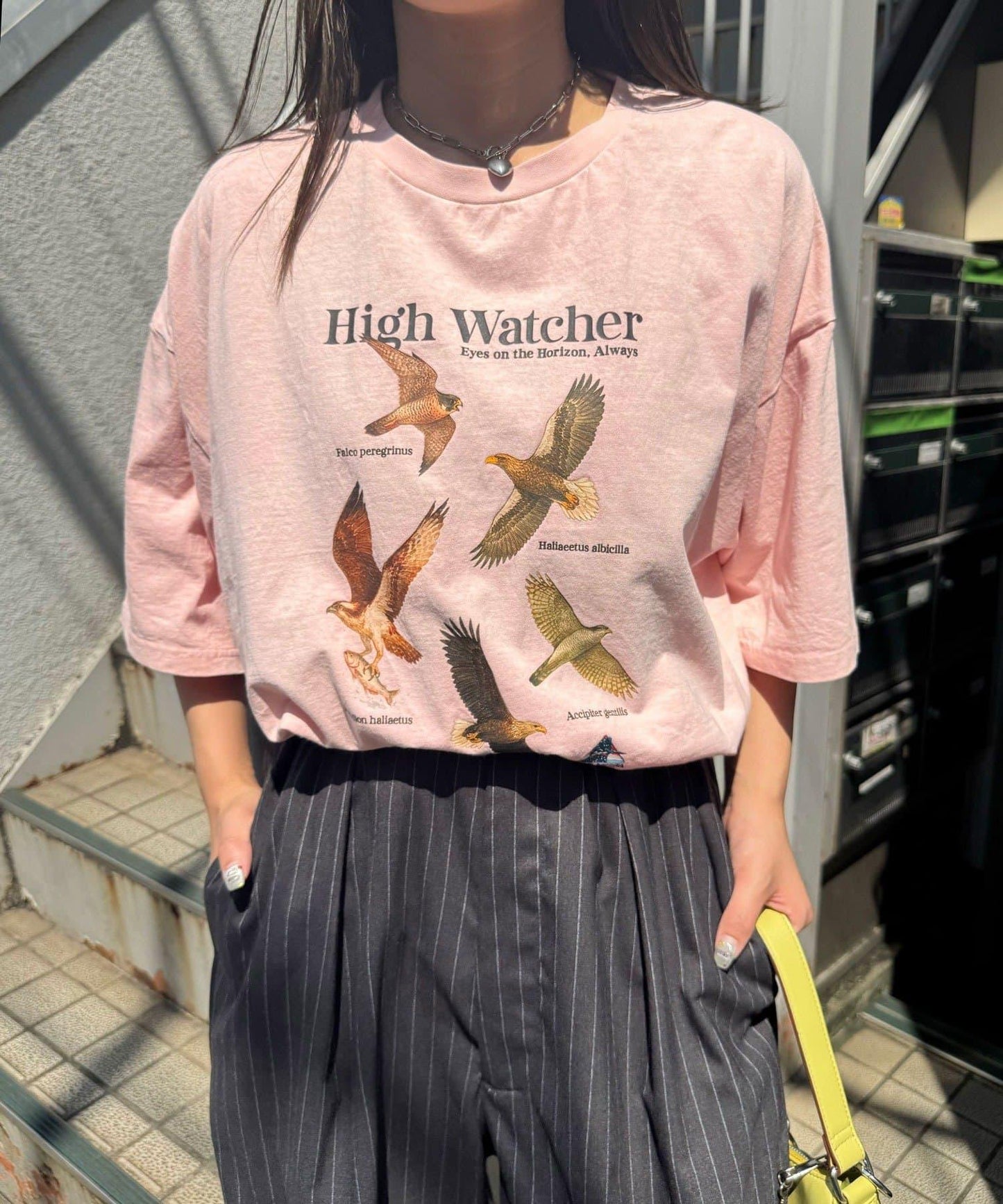 【BIRDMANIA/鳥類狂熱】野鳥收藏T恤