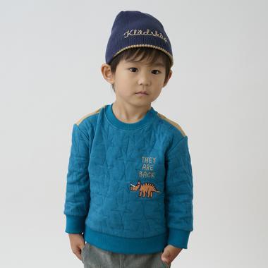 恐龍刺繡夾棉衛衣