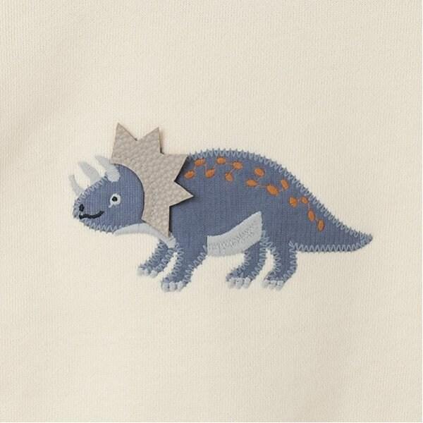 動物恐龍圖案 兒童衛衣