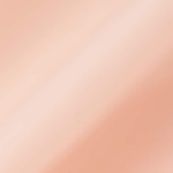 透視襯衫&字母羅紋背心套裝