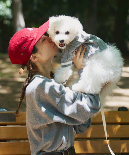 【狗裝】【sayuri企劃】狗兒童針織衫