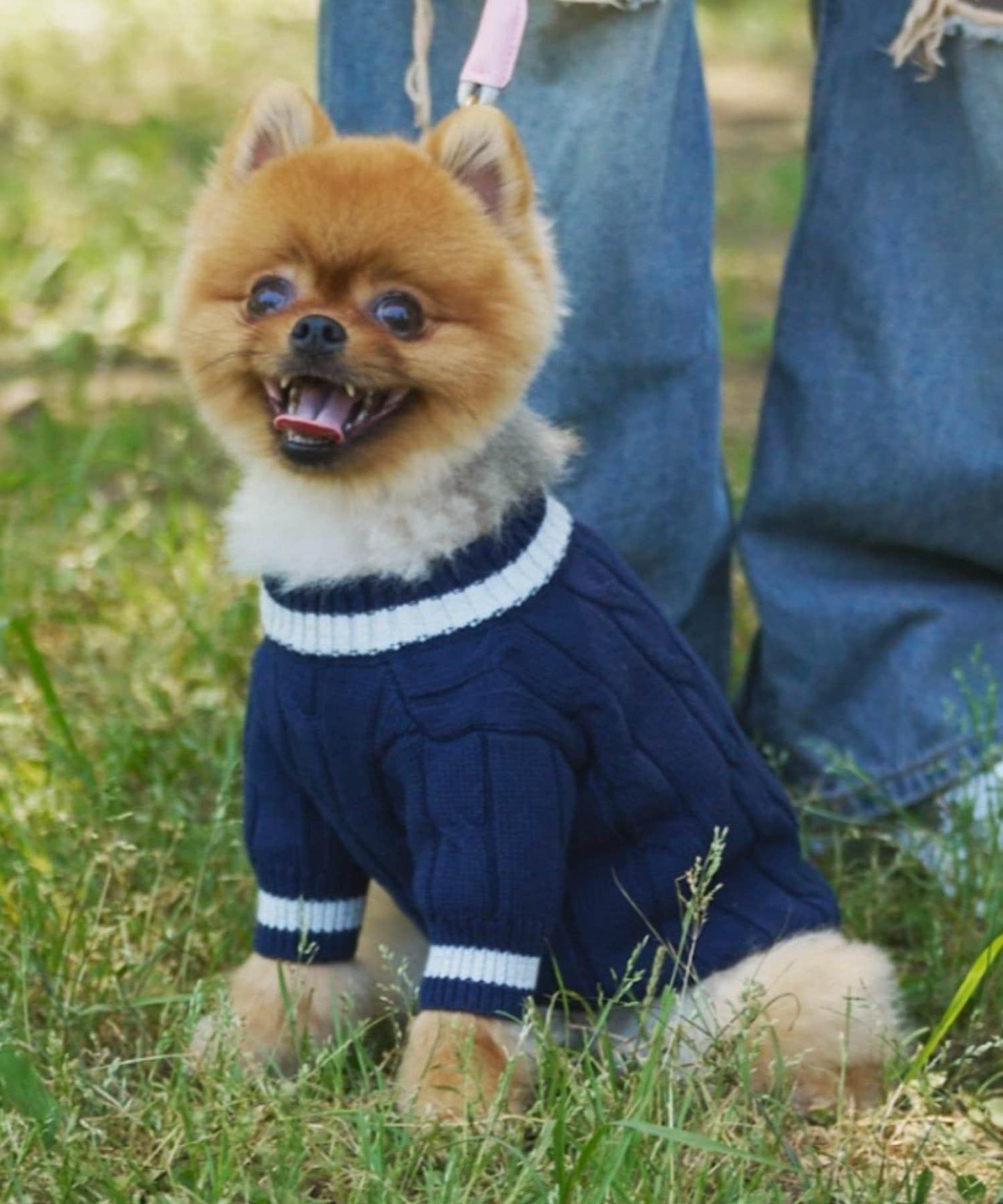 【狗裝】【sayuri企劃】狗兒童針織衫