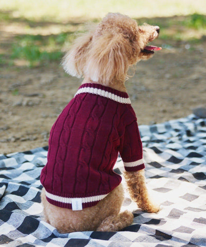 【狗裝】【sayuri企劃】狗兒童針織衫