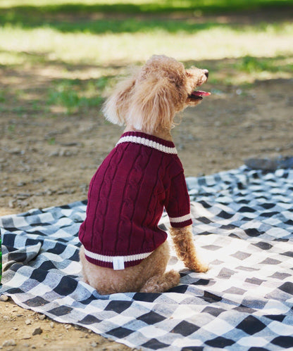 【狗裝】【sayuri企劃】狗兒童針織衫