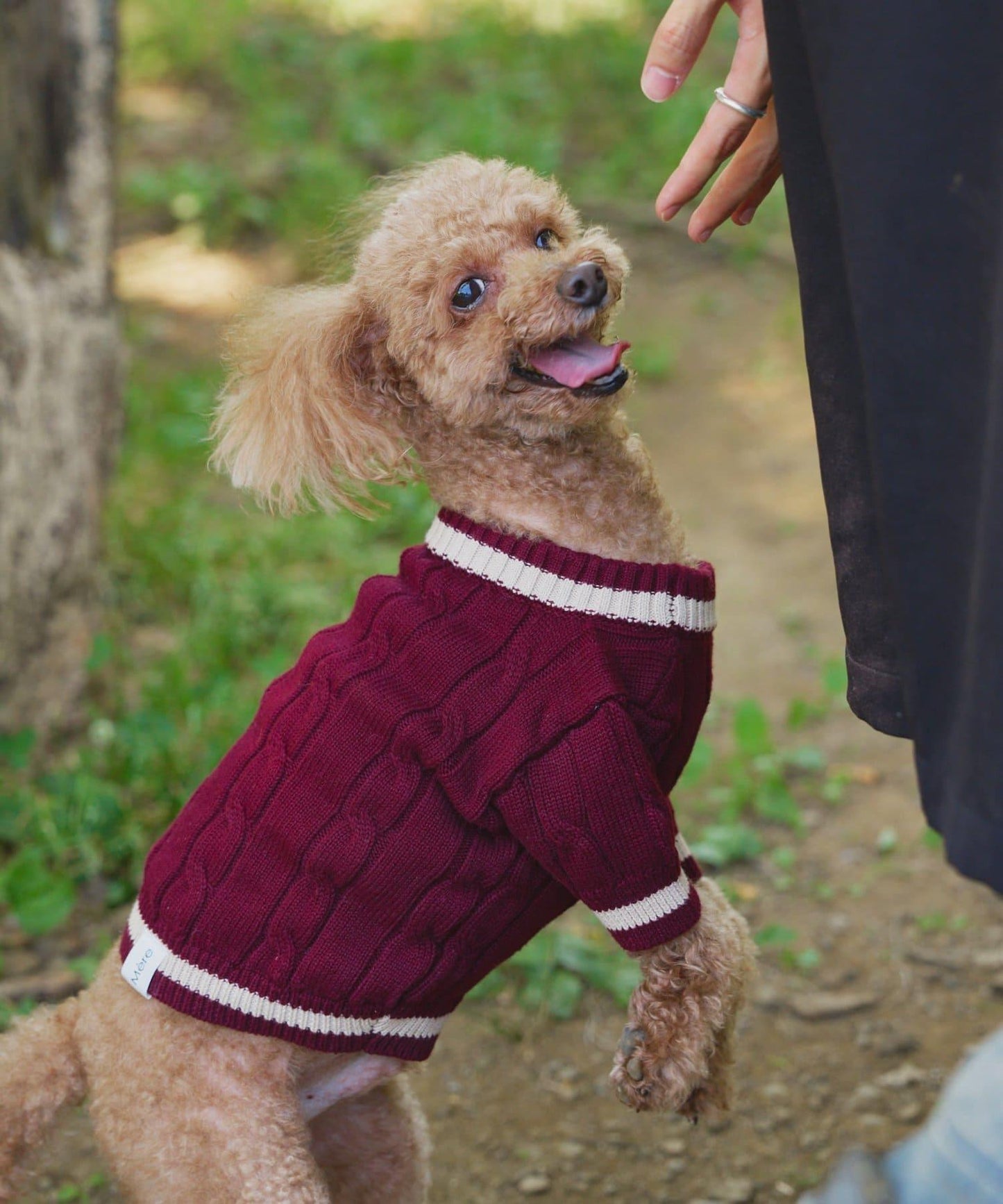 【狗裝】【sayuri企劃】狗兒童針織衫