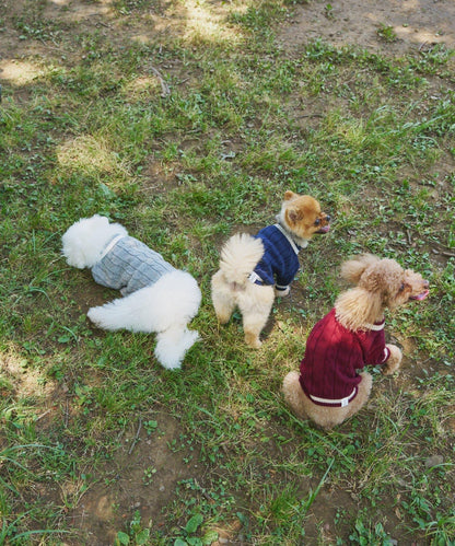 【狗裝】【sayuri企劃】狗兒童針織衫