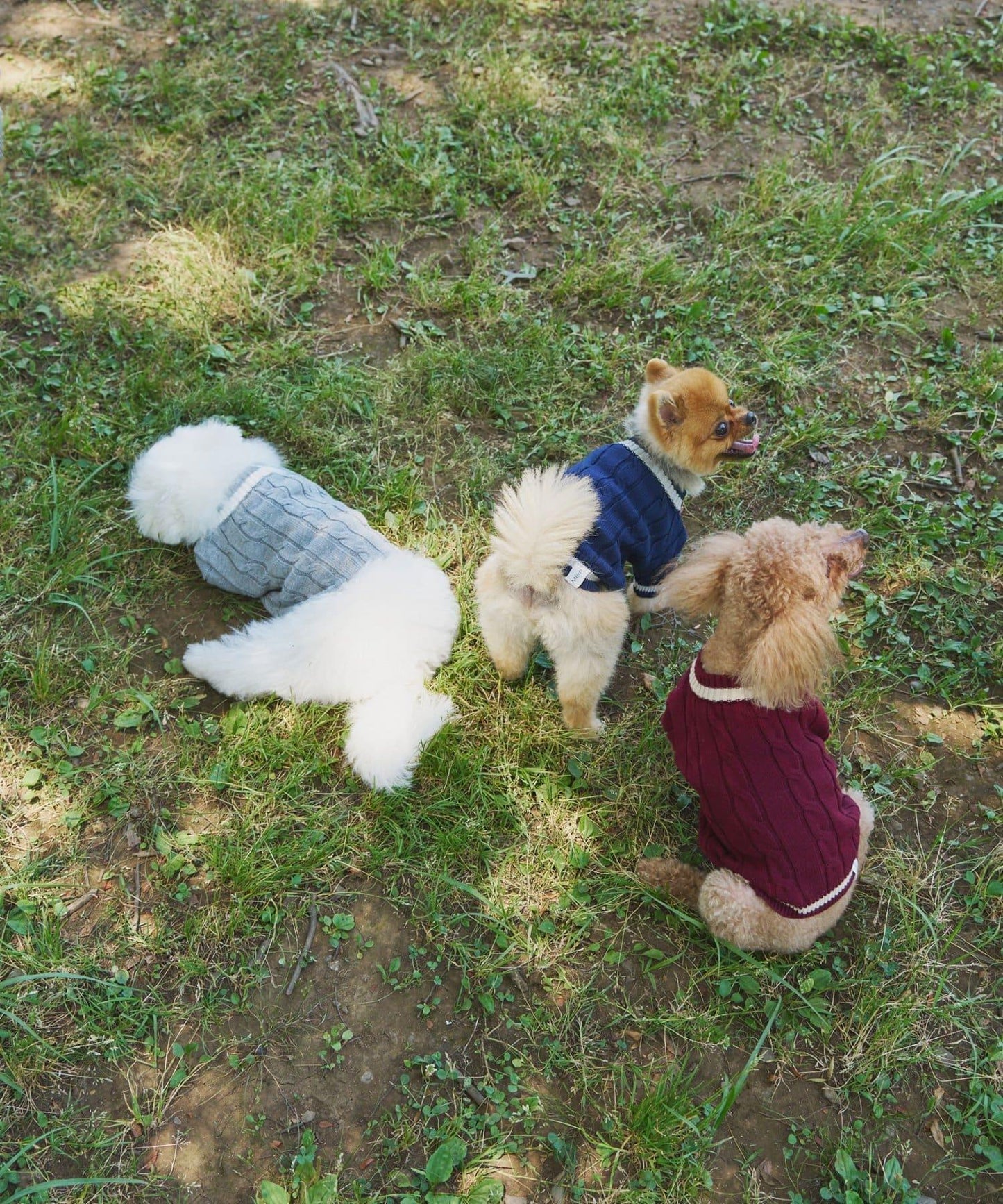 【狗裝】【sayuri企劃】狗兒童針織衫