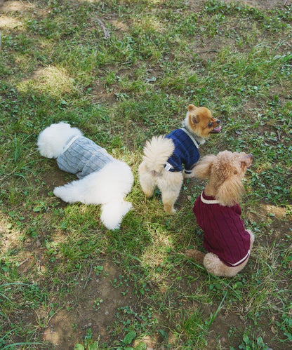 【狗裝】【sayuri企劃】狗兒童針織衫