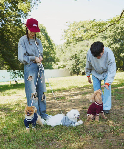 【狗裝】【sayuri企劃】狗兒童針織衫