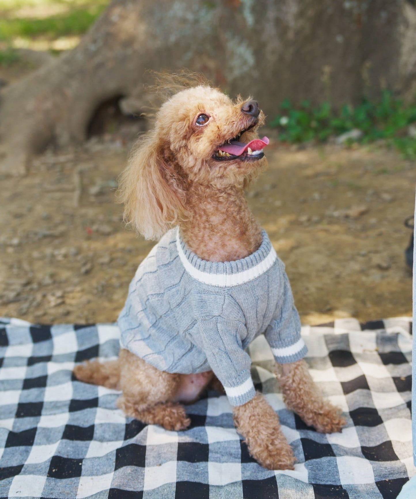 【狗裝】【sayuri企劃】狗兒童針織衫