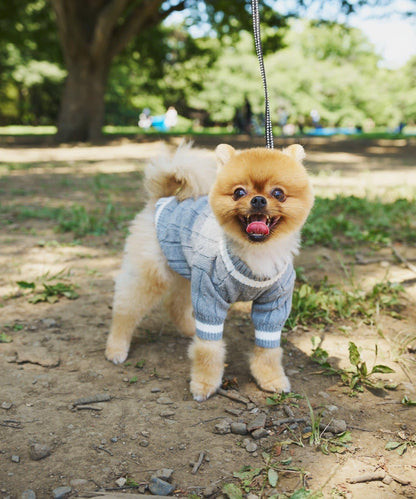 【狗裝】【sayuri企劃】狗兒童針織衫