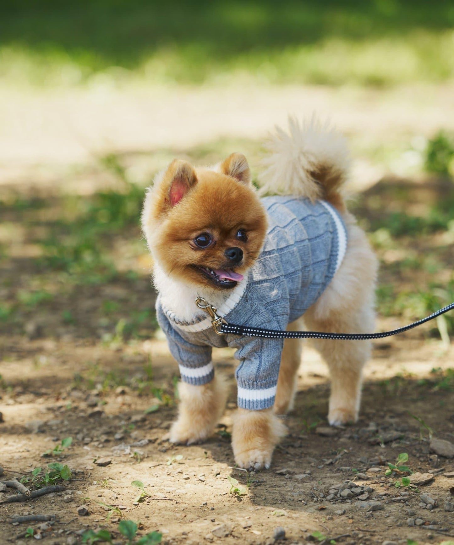 【狗裝】【sayuri企劃】狗兒童針織衫