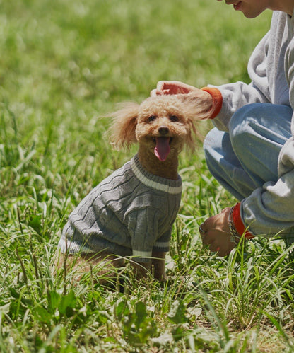 【狗裝】【sayuri企劃】狗兒童針織衫