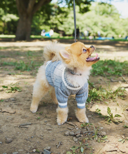 【狗裝】【sayuri企劃】狗兒童針織衫