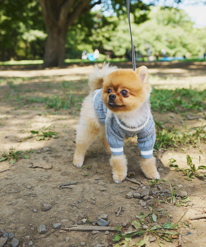 【狗裝】【sayuri企劃】狗兒童針織衫