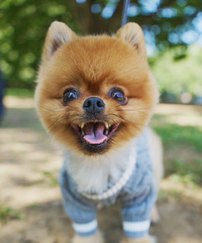 【狗裝】【sayuri企劃】狗兒童針織衫