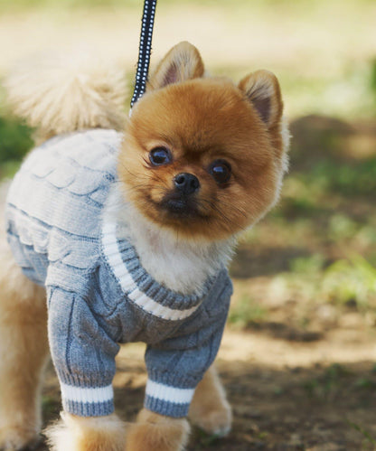 【狗裝】【sayuri企劃】狗兒童針織衫