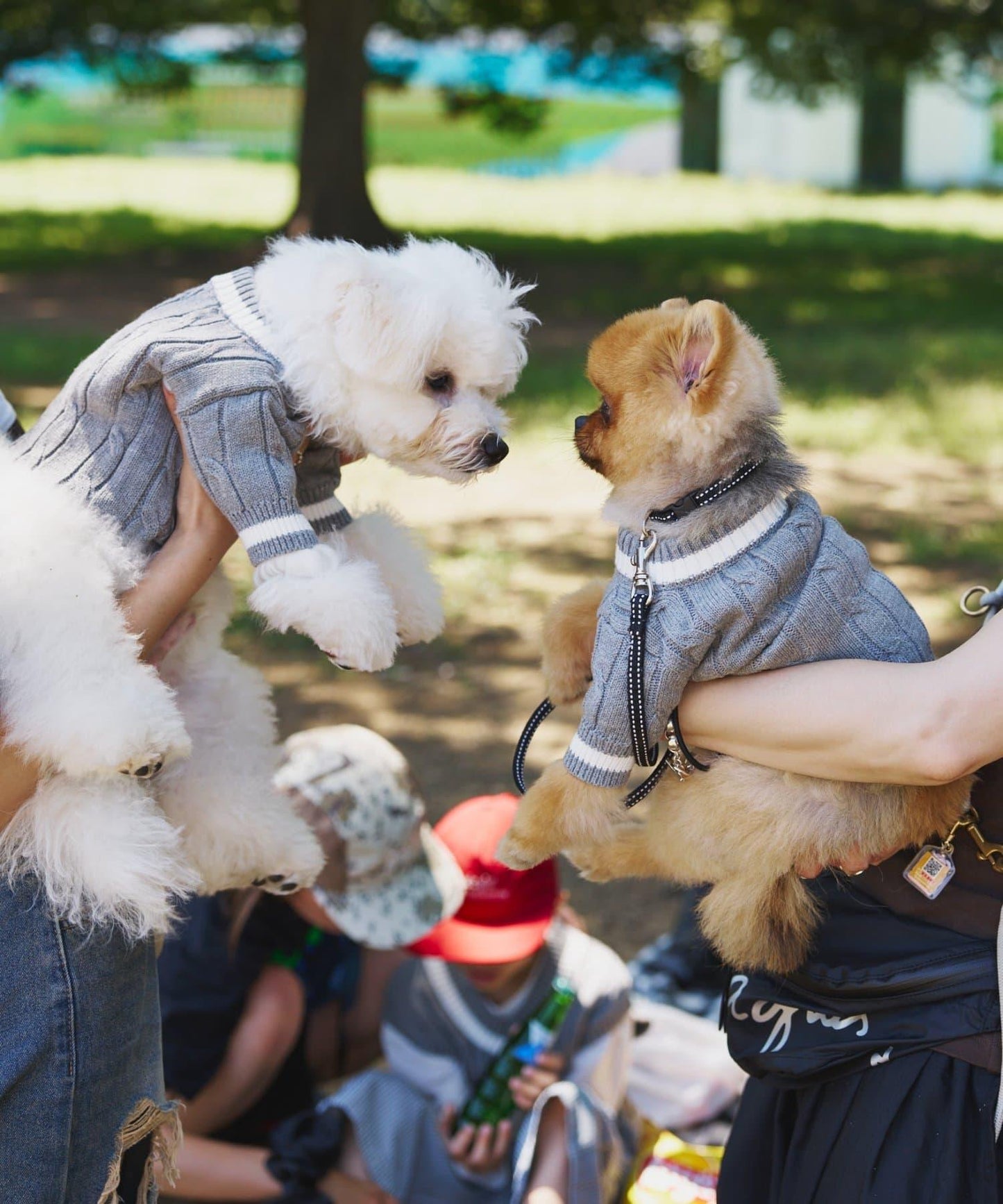 【狗裝】【sayuri企劃】狗兒童針織衫