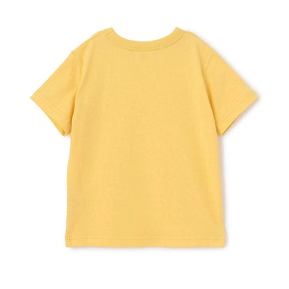 288808977